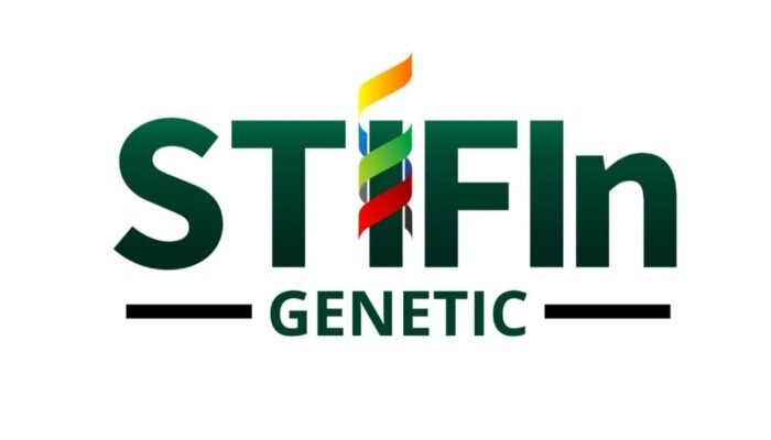 Lowongan Partner Bisnis STIFIN
