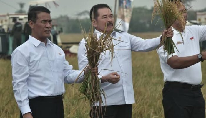 Sawah Sitaan Korupsi di Tambun Utara Hasilkan 49 Ton Padi Jadi Bukti Aset Negara Bisa Produktif